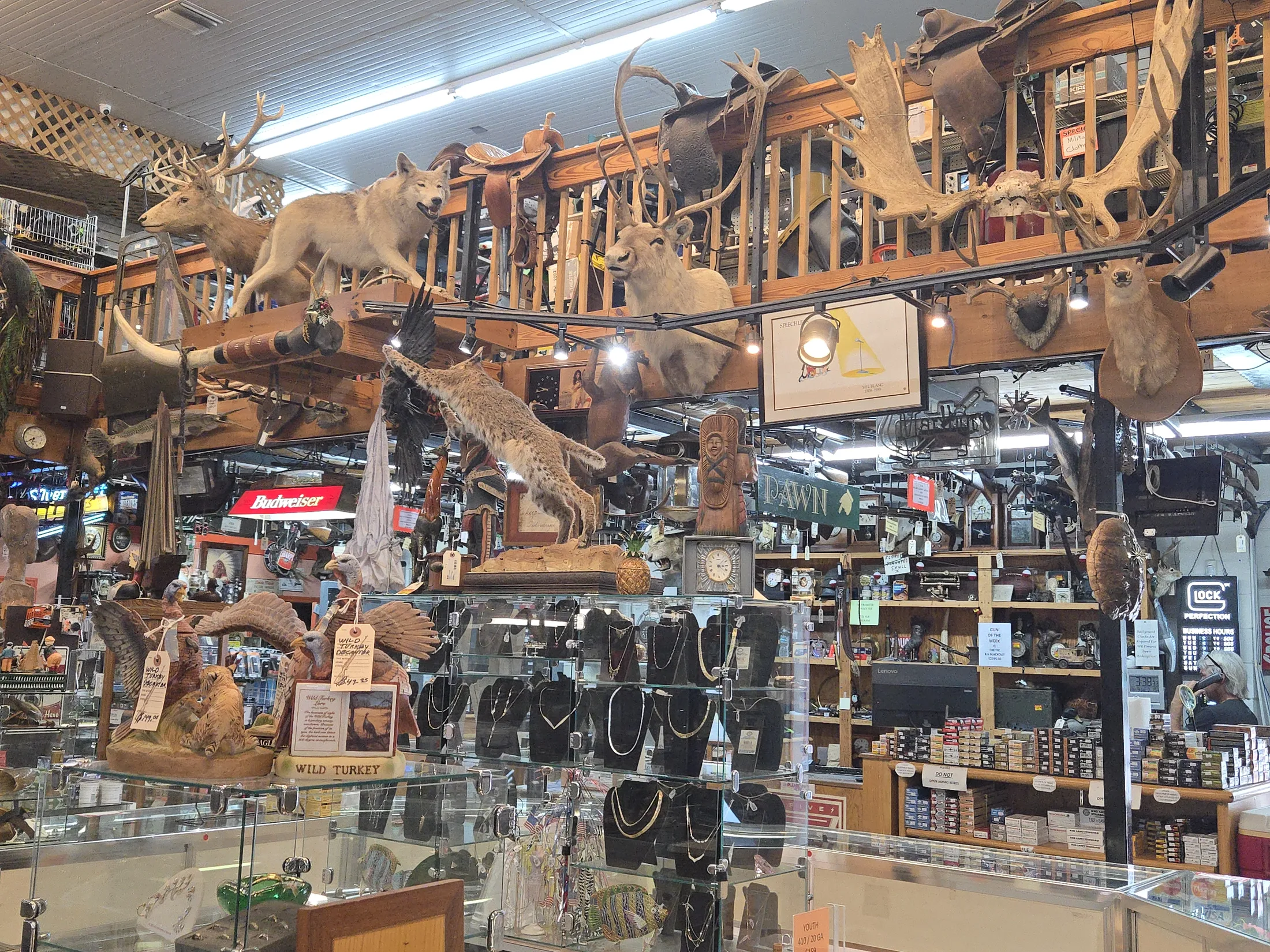 Showcases and wildlife mounts on the sales floor at AAA Gun & Pawn