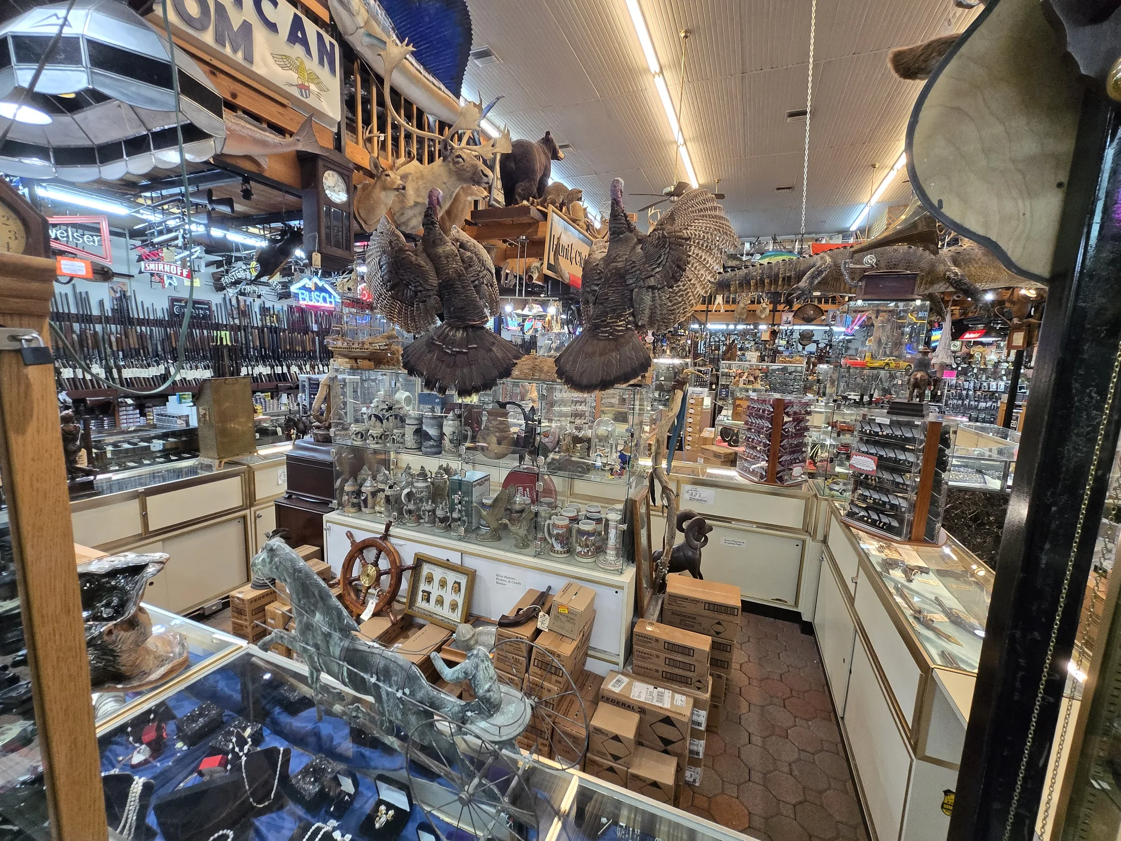 Wide view inside AAA Gun & Pawn with glass showcases, long guns on the wall and mounted wildlife overhead
